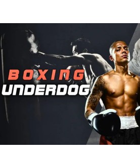 Boxing Underdog Meta Quest Gift Meta Quest Key GLOBAL